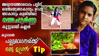 Kalika Kalari | Kalarippayattu | രണ്ട് വടി ചുഴറ്റൽ | Randu Vadi Veesal |  Ayurveda Medicine  | Fight