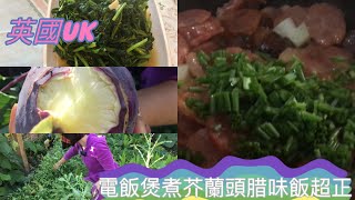 [英國uk］英國日常生活，摘茼蒿菜、芥蘭頭今晚煮芥蘭頭（菜果）腊味飯超級好食超正啊。