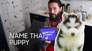 Name That Puppy with Jared Leto