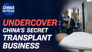 Undercover video reveals new evidence on forced organ harvesting in China | China in Focus - NTD