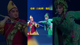 小青大战金山寺僧众 #婺剧 #白蛇传 #选段 #武戏 #戏曲 #中国戏曲