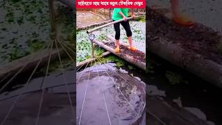 দেখুন চায়নারা কিভাবে মাছ ধরে #shortvideo #facts #shortvairlvideo