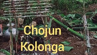 // Chojun kedun kolonga// horhak kedun//