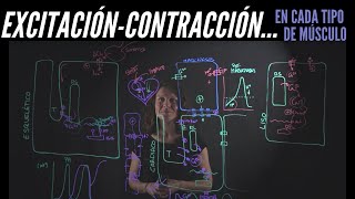 Inicio de la contracción en los distintos tipos de músculo