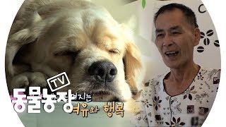 ‘아롱·아순이’의 행복한 소식을 들은 할아버지의 인사 @TV 동물농장 20190915