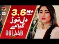 Changa Waqt Nibhayai - Gulaab (Official Video) | Latest Punjabi Song