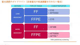 Akoya PhenooCycler (旧名CODEX）の抗体のcustom conjugationの説明