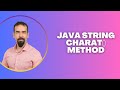 #74 Java String charAt() Method – Get a Character at a Specific Index