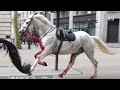 Watch King’s Horses Run Amok Across London During Rush Hour  WSJ News