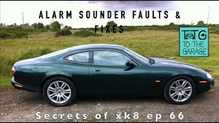 Secrets of the Jaguar XK8 ep 66 My V8 doesn't chirp anymore! The Intelligent Sounder.