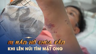 Truyền 10 lọ huyết thanh giải độc cứu người bị rắn hổ chúa cắn