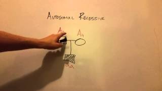 Autosomal Recessive Inheritance