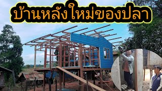 มาอัพเดทบ้านหลังใหม่ของน้องปลากับน้องมาเป็นครั้งแรก