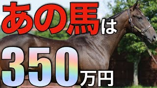 【適性抜群】日本導入で一気の3倍増！今熱いあの種牡馬は種付け料350万円に。