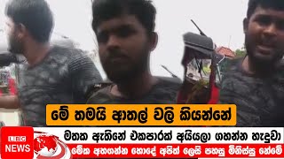 මේවා හරි සුන්දර වලි නේද‍...?🤭🔥 || LBC News || sri lanka || sinhala