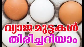 നിങ്ങളെ ഇഞ്ചിഞ്ചായി കൊല്ലുന്ന വ്യാജ മുട്ട വ്യാപകമാകുന്നു | Duplicate Eggs l Health Tips Malayalam