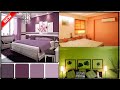 Top 25 Room Latest Colour Combination In 2022 Catalogue | Interior Paint Colour | Gopal Home Decor