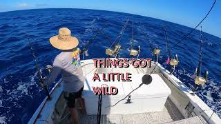 Ahi (Yellowfin Tuna) and Marlin fish with Fishwinch in Hawaii