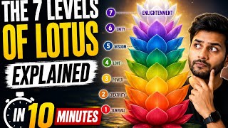 The 7 Levels of Lotus Explained In 3 Minutes