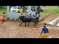 malla at miyar kudi namma tulunda kambala fan