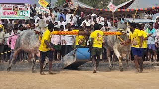 1st prize winner RK New category bulls in Morjampadu