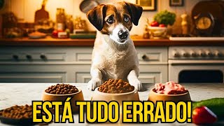 ERRO MATA OS CAES AOS POUCOS NA HORA DA ALIMENTAÇÃO