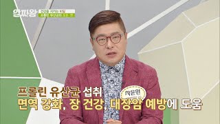 암 예방에서 다이어트까지 효과도 가득한 [프롤린 유산균] TV정보쇼 알짜왕(alzzaking) 171회