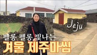 [VVLOG]겨울 제주도 여행 부부로그 #1 / 제주 맛집, 소품샵, 플레이스캠프 제주, 우진해장국, 다시버시, 종달리 마을, 제주도 동부