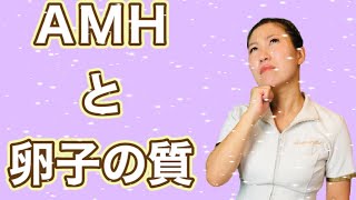 【すきっと向上委員会TV】AMHの数値と卵子の質