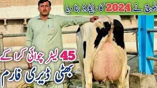 Bhatti Dairy Farm | Pakistan big cows Farm | Friesian cows | Jersey cows | Jani Best