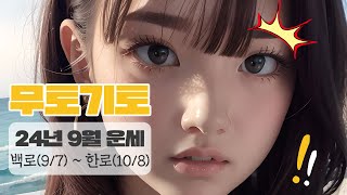 무토 기토 일간 2024년 9월 운세 | 갑진년 계유월 | 놀란 사주