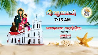 New Year Mass Live @7.15AM //01/01/2025//From Manjumatha Basilica