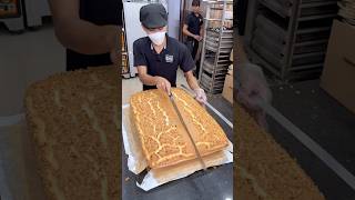 Giant Macadamia Nuts Cake Cutting