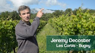 Du sel et de la complantation dans le Bugey - Les Cortis - Jeremy Decoster