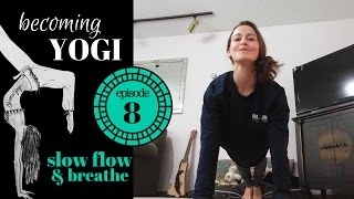 Becoming Yogi: Episode 08, Balancing Beginner Yoga Exploration