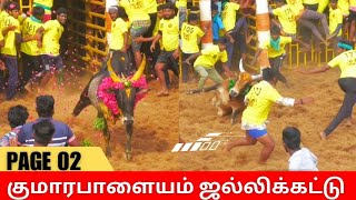 குமாரபாளையம் ஜல்லிக்கட்டு 2025// kumarapalayam Jallikattu video page 02