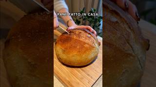 Pane fatto in casa 🍞