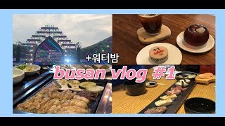 [부산 vlog] #1 워터밤 놀러갔더니 먹방찍는 브이로그 // 샌드위치, 빵, 초밥, 떡케이크, 곱창, 막창 (무슈뱅상, 올타미스터, 람가이, 워터밤, 소일창)