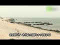 白保海岸～ひるぎ林 地域情報動画サイト　街ログ