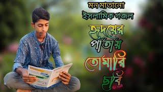 মনমাতানো ইসলামিক গজল।Hridoyer patay tomari chobi । Tawhid jamil । Salman sadi । Bangla Gojo 2021