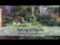 Spring delights: Mathlin Cottage, Somerset