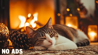 Relaxing Cat Music 🐈 Cat's favorite music 🐾Cat music for anxiety, Piano Music No Ads