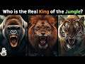 Who Should be the Real King of the Jungle?