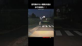 信号機のない横断歩道は歩行者優先🚶‍♀️🚶‍♂️夜間犬の散歩編