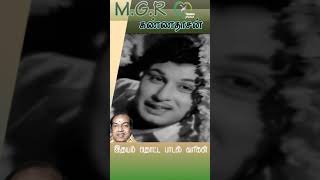 நேரான பாதை விட்டு நான் சென்ற போதும் என்னை வா என்று அள்ளிக் கொண்டவளே!|MGR|Kannadasan|PBS|TRasigarkal|