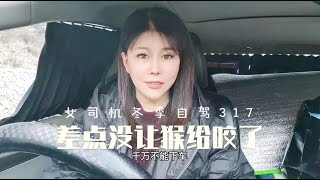 女司机冬季自驾317，差点没让路上遇到的猴给咬了，真是太吓人了