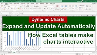 Create Dynamic Charts in Excel Using Table Filtering & Sorting