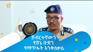 ሽብርተኛውን የሸኔ ቡድን የማጥፋት እንቅስቃሴ | FANA NEWS