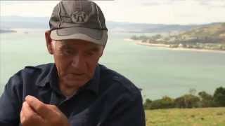 Marae went to Hokianga to find out where Ngapuhi is going