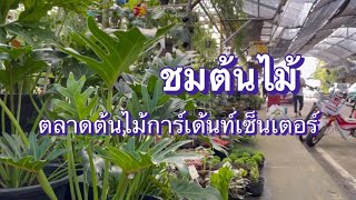 ชมตลาดต้นไม้ การ์เด้นท์เซ็นเตอร์